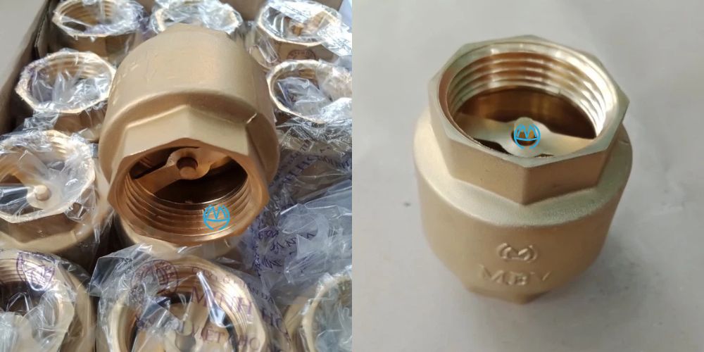 van 1 chiều lò xo mbv