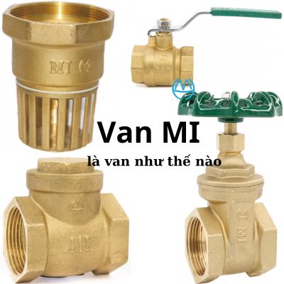 van MI