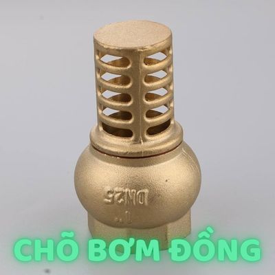 chõ bơm nước bằng đồng