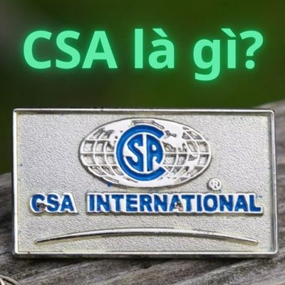 CSA là gì