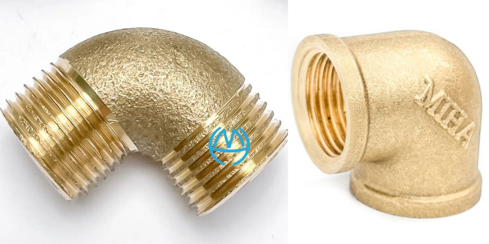 cút đồng minh hòa