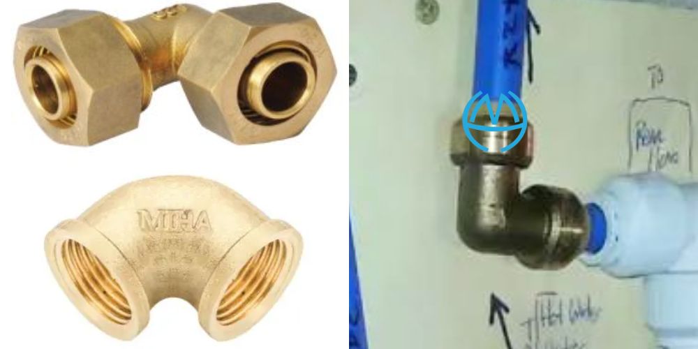 cút đồng minh hòa