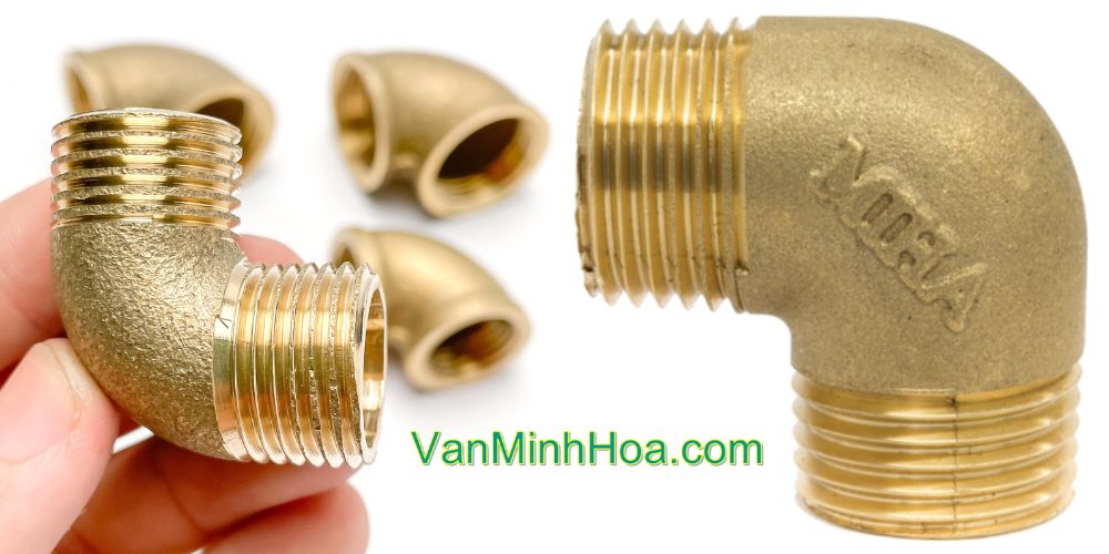 cút đồng minh hòa