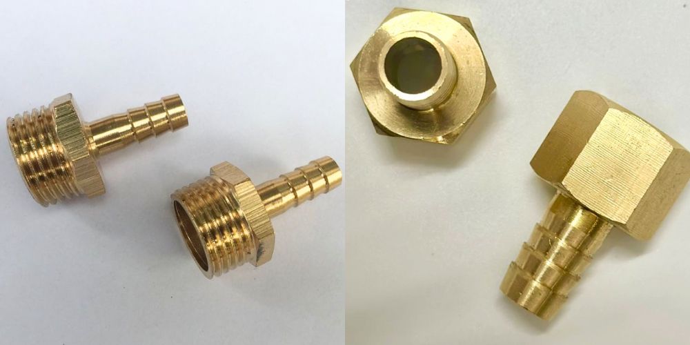 Đuôi chuột đồng minh hòa