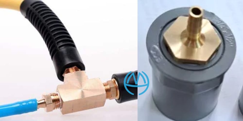 Đuôi chuột đồng minh hòa