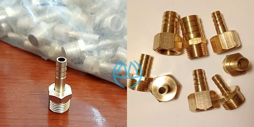 Đuôi chuột đồng minh hòa