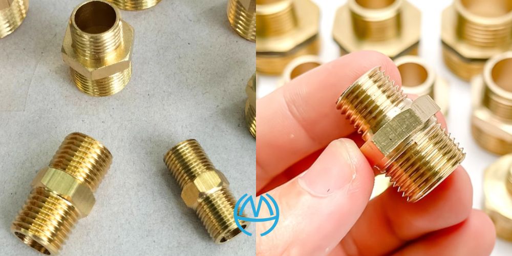 kép đồng minh hòa