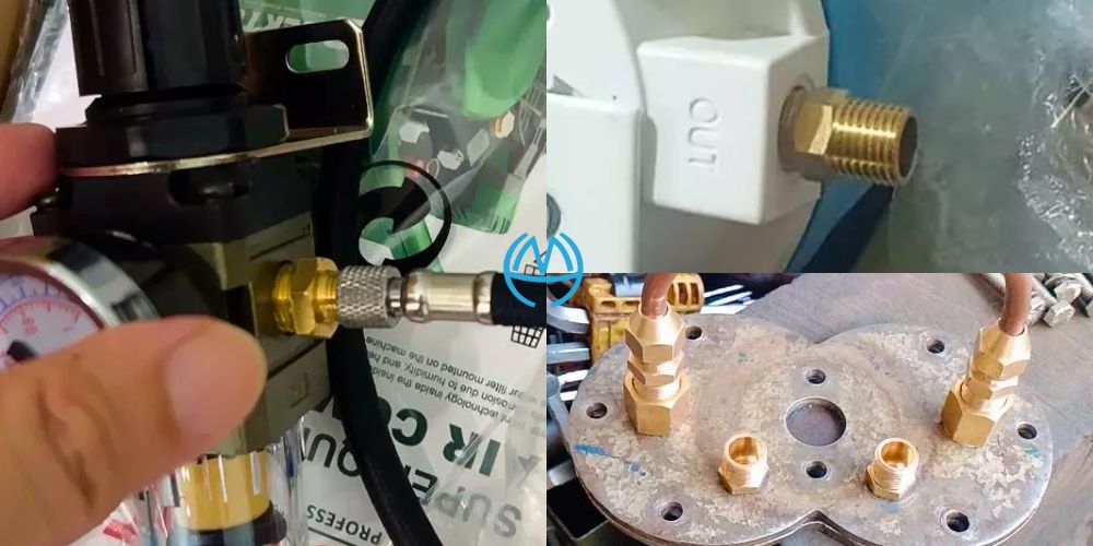 kép đồng minh hòa