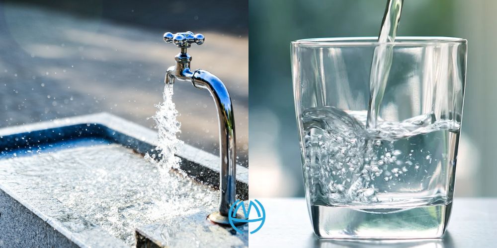 tap water là gì