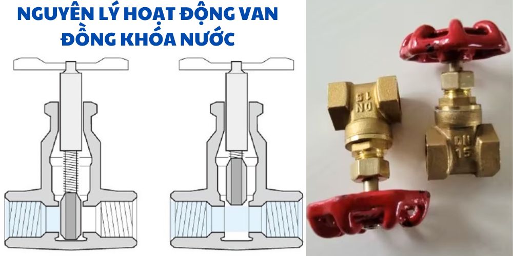 van khóa nước phi 21 đồng