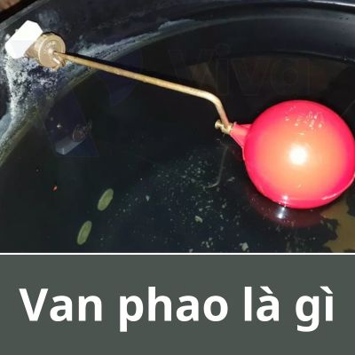 van phao là gì