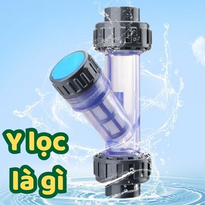 y lọc là gì