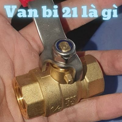 van bi 21 là gì