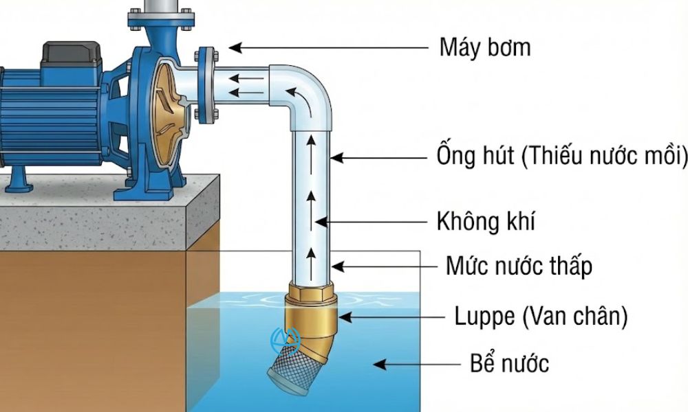 bơm khởi động thiếu nước mồi sẽ xảy ra điều gì