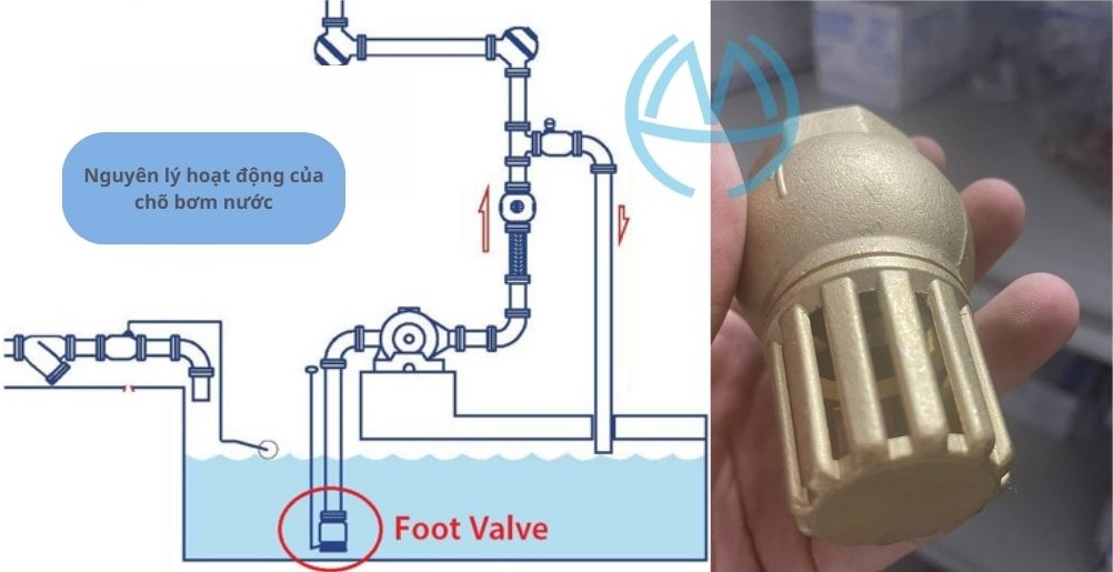 Nguyên lý hoạt động chõ bơm nước 27
