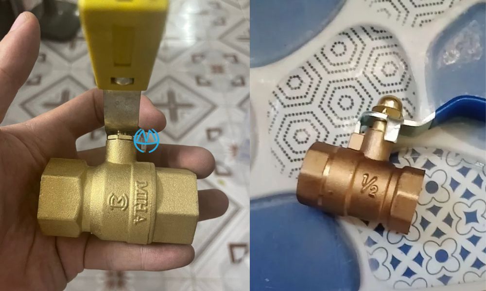 chủng loại của van gạt 21