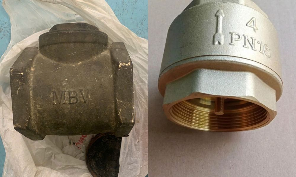 chủng loại van 1 chiều dn100