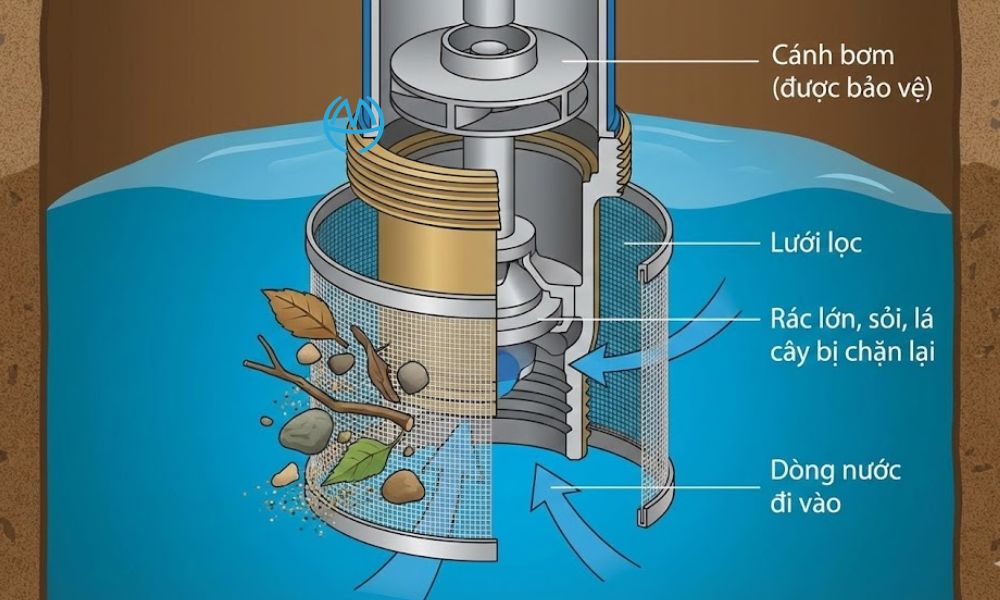 lưới lọc của cấu tạo chõ bơm nước