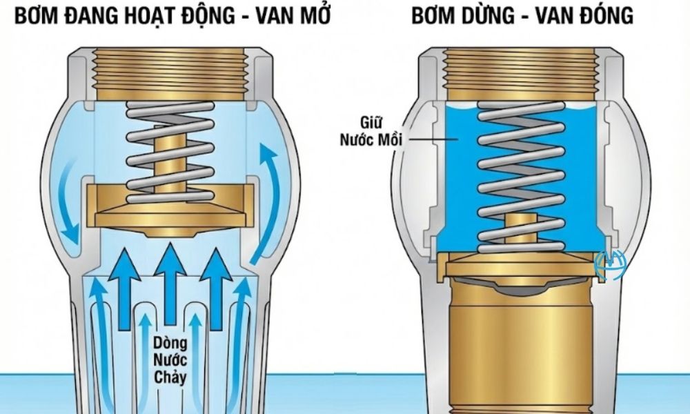 luppe phi 60 giữ nước mồi cho máy bơm