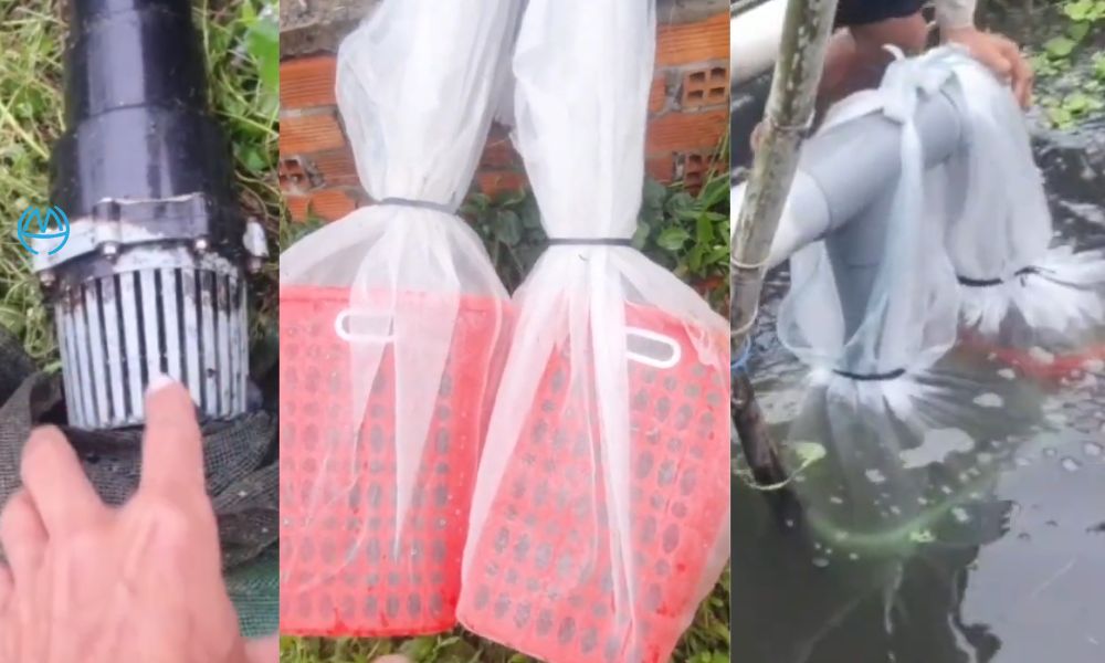 mẹo lắp luppe 60 chống tắc cách làm đơn giản nhưng hiệu quả