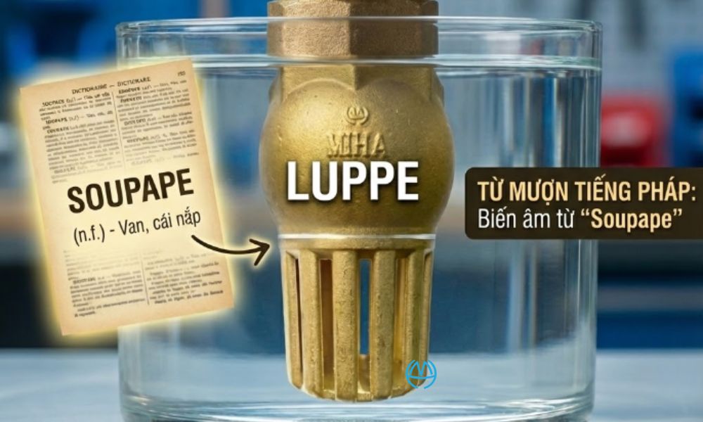 nguồn gốc tên gọi luppe là gì