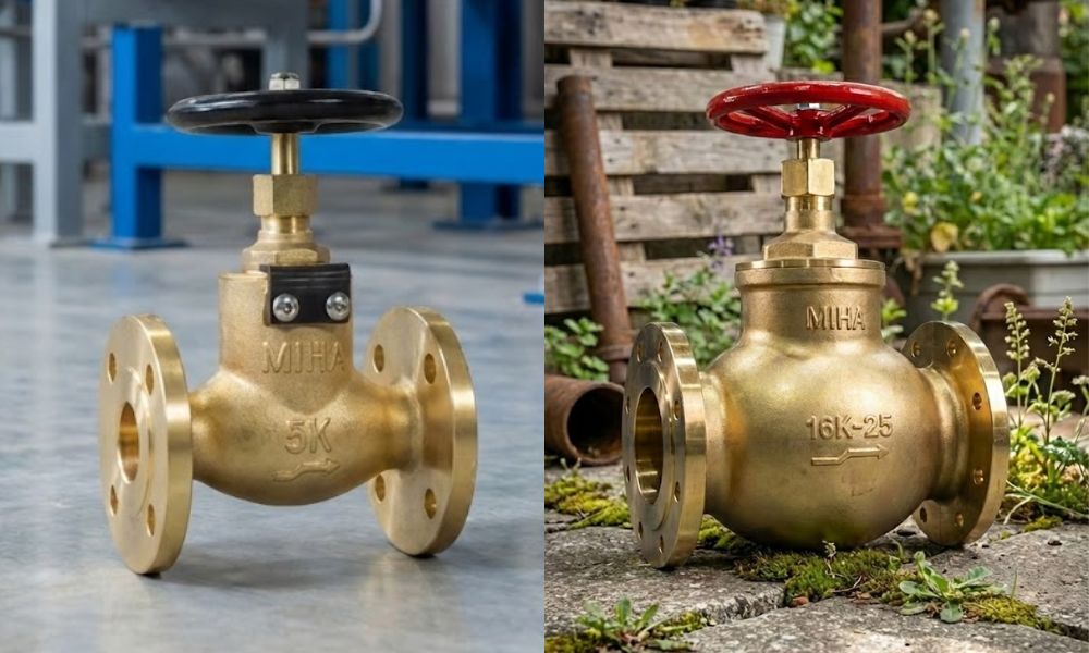 phân tích chủng loại của van cầu mặt bích