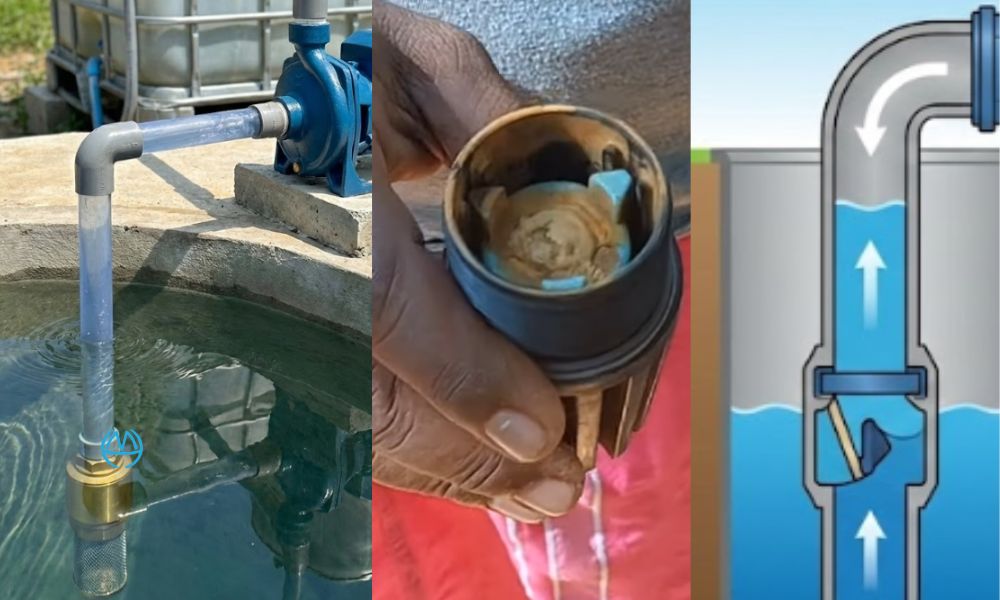 rọ hút máy bơm 2