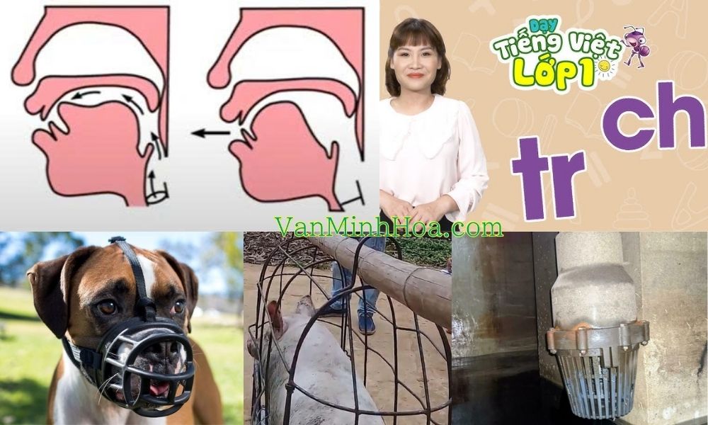 tên gọi khác chõ bơm nước 27