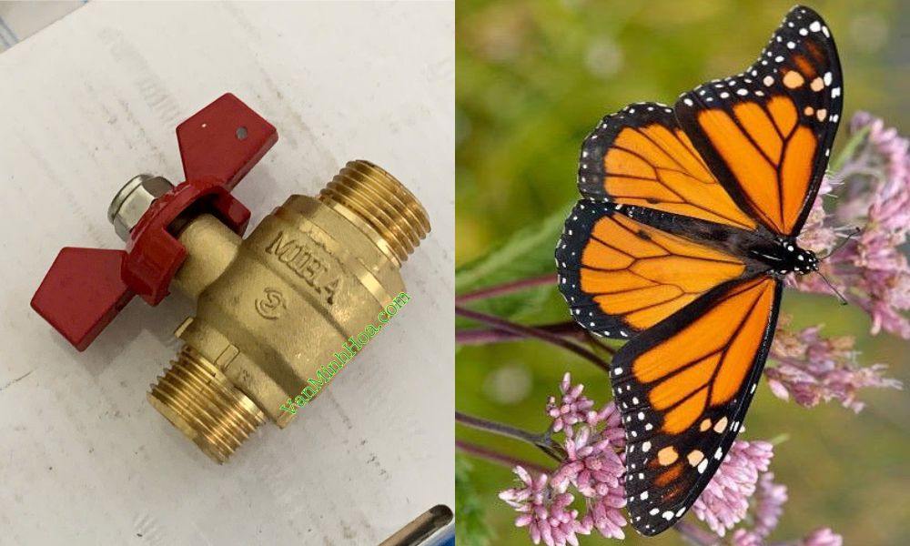 tên gọi van bi tay vặn