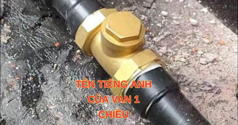 tên tiếng anh của van 1 chiều