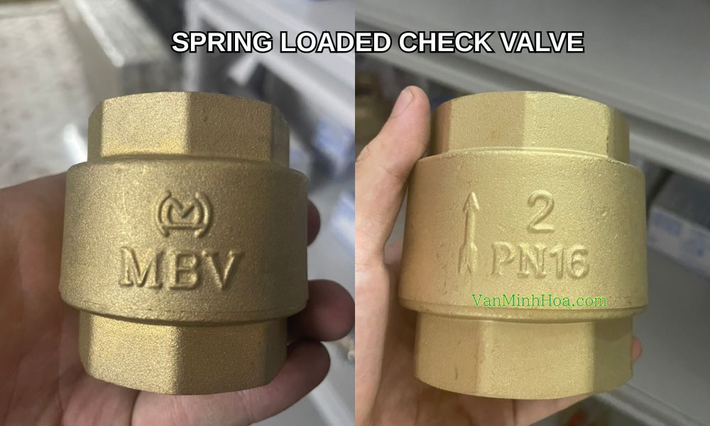 tên tiếng anh van1 chiều lò xo