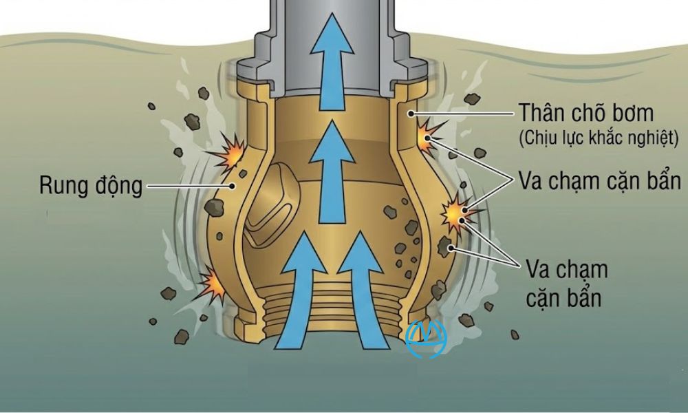 thân trong cấu tạo chõ bơm nước chịu lực như thế nào