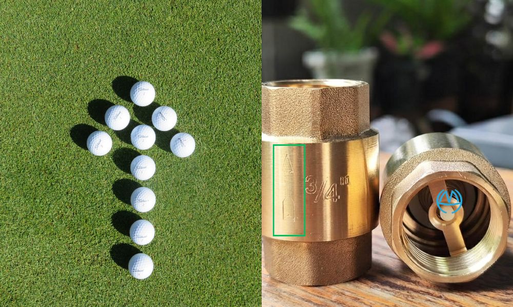 tổng quan về van 1 chiều d20