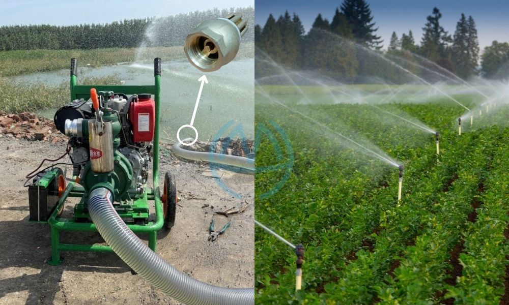 ứng dựng chõ bơm nước 27 - nông nghiệp