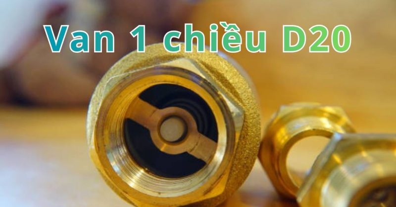 van 1 chiều d20