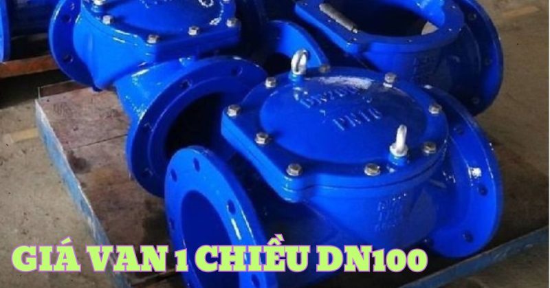 van 1 chiều dn100