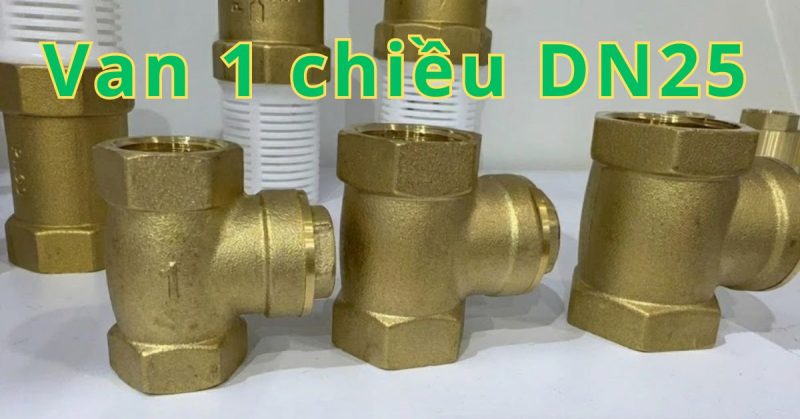 van 1 chiều dn25