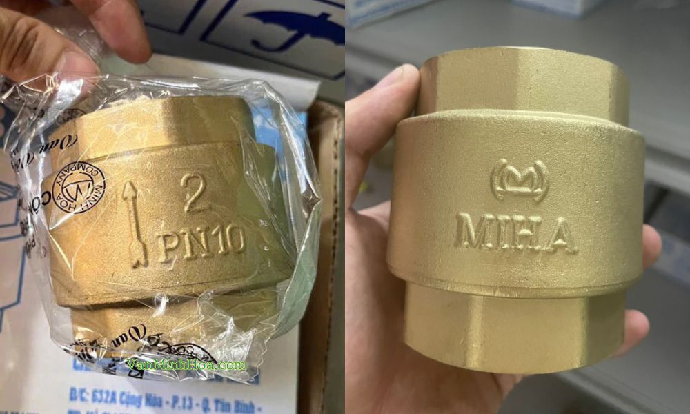 van 1 chiều dn50 lò xo