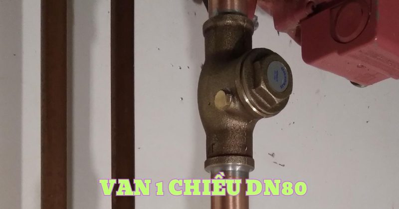 van 1 chiều dn80