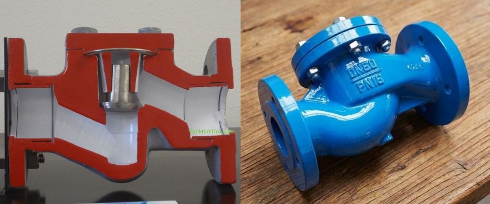 van 1 chiều dn80 lift check