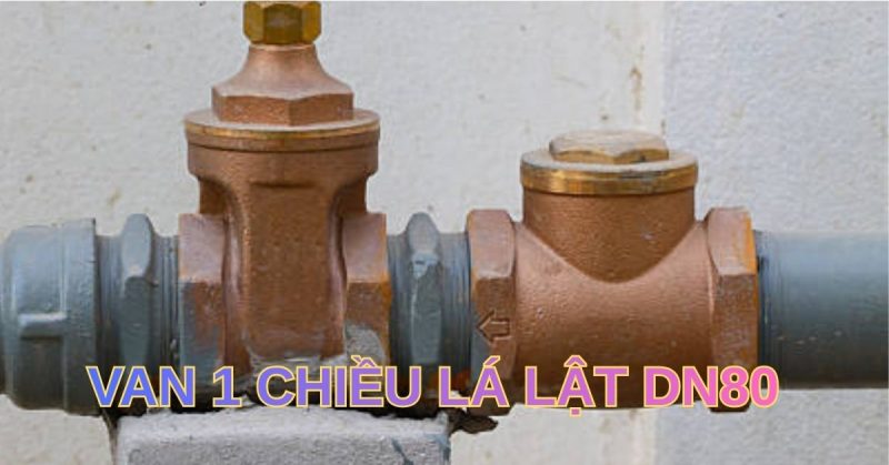 van 1 chiều lá lật dn80