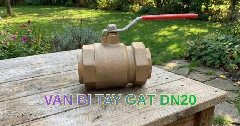 van bi tay gạt dn20