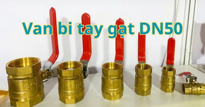 van bi tay gạt dn50