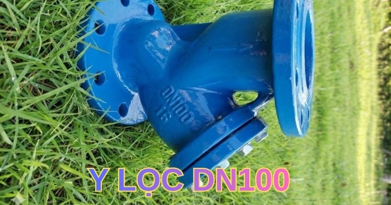 y lọc dn100