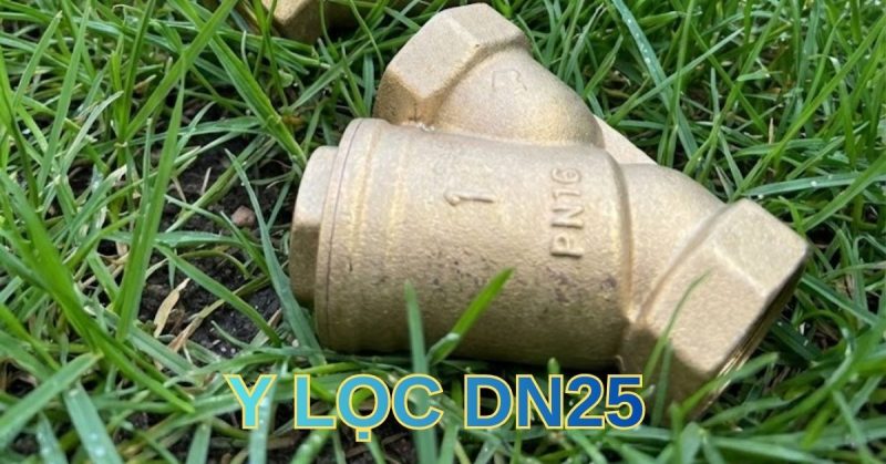 y lọc dn25