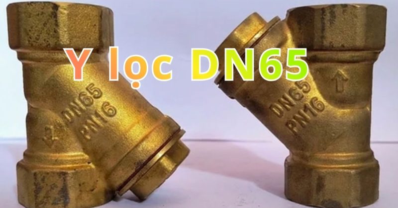 y lọc dn65