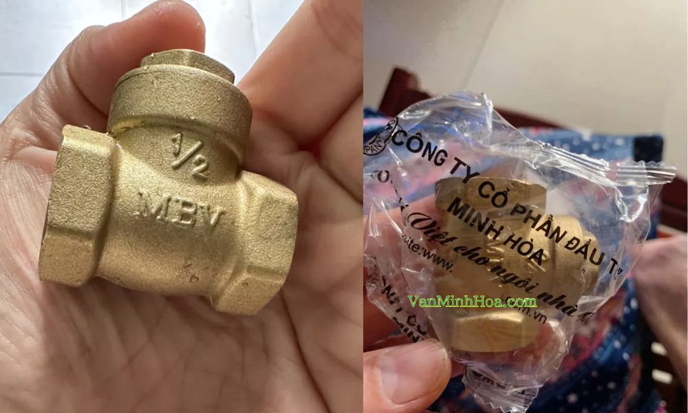 ai cần hiểu van 1 chiều đồng lá lật