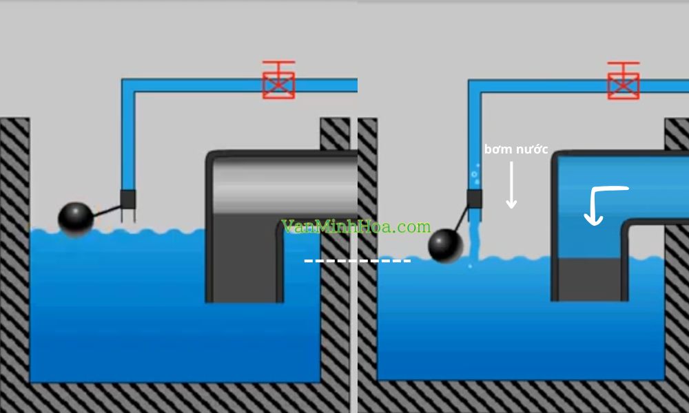 bản chất van phao cơ là gì