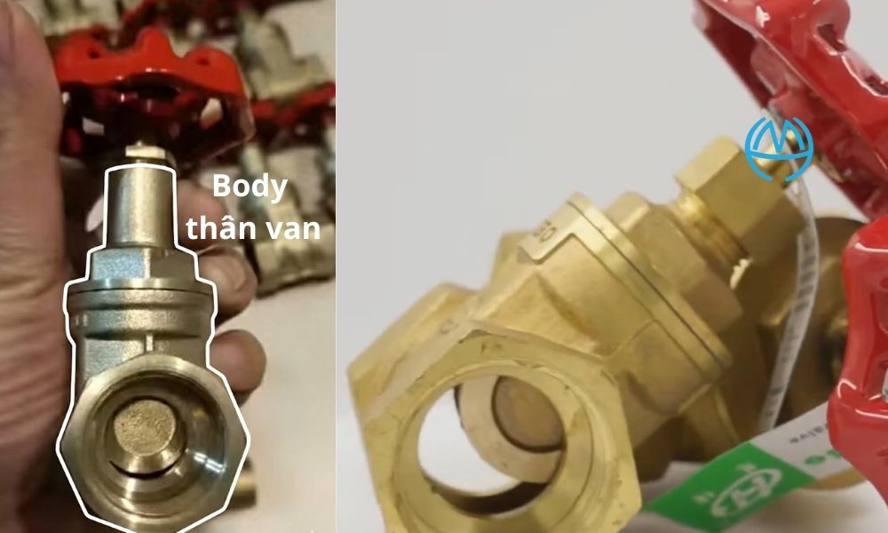body brass gate valve thân van