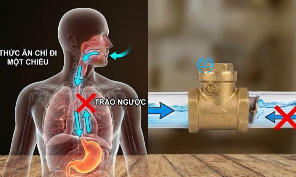 hiểu đơn giản van nước một chiều là gì